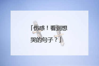 伤感！看到想哭的句子？