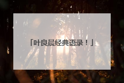 叶良晨经典语录！