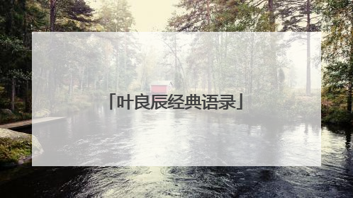 叶良辰经典语录