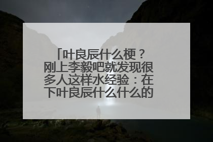 叶良辰什么梗？ 刚上李毅吧就发现很多人这样水经验：在下叶良辰什么什么的…… 什么意思？