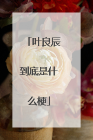 叶良辰到底是什么梗