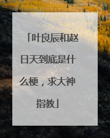 叶良辰和赵日天到底是什么梗，求大神指教