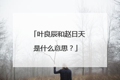 叶良辰和赵日天是什么意思？