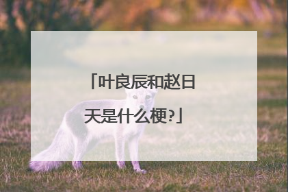 叶良辰和赵日天是什么梗?