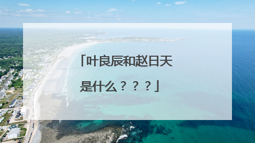 叶良辰和赵日天是什么？？？