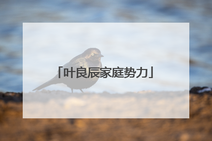 叶良辰家庭势力