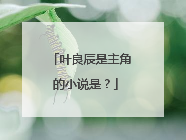 叶良辰是主角的小说是？