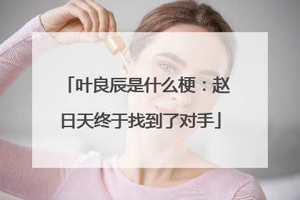 叶良辰是什么梗：赵日天终于找到了对手