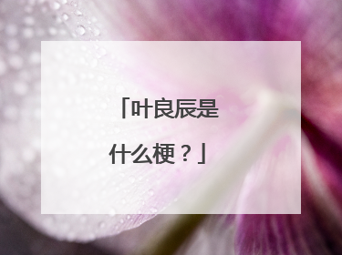 叶良辰是什么梗?