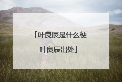 叶良辰是什么梗 叶良辰出处