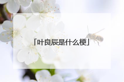 叶良辰是什么梗