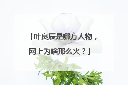 叶良辰是哪方人物，网上为啥那么火？