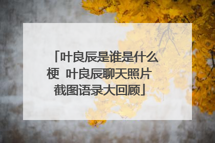 叶良辰是谁是什么梗 叶良辰聊天照片截图语录大回顾