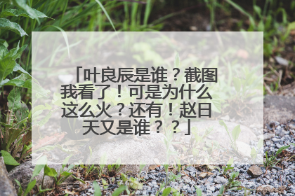 叶良辰是谁？截图我看了！可是为什么这么火？还有！赵日天又是谁？？