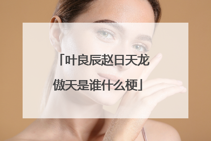 叶良辰赵日天龙傲天是谁什么梗