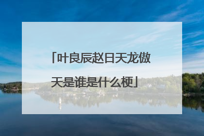 叶良辰赵日天龙傲天是谁是什么梗