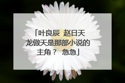 叶良辰 赵日天 龙傲天是那部小说的主角? 急急