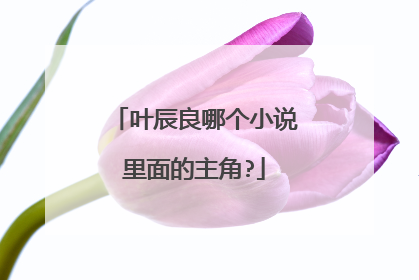 叶辰良哪个小说里面的主角?