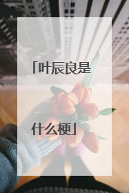 叶辰良是什么梗