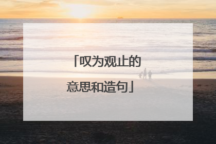 叹为观止的意思和造句