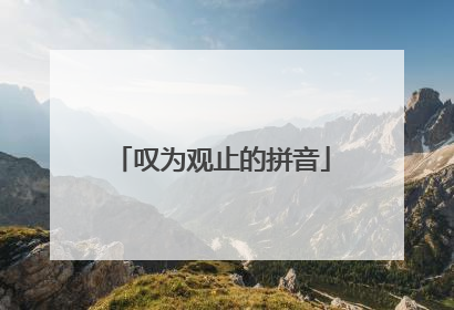 叹为观止的拼音