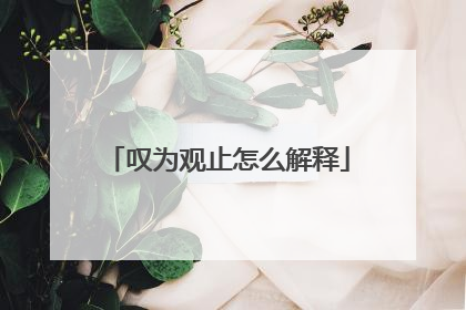 叹为观止怎么解释