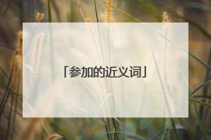 参加的近义词