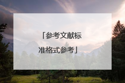 参考文献标准格式参考