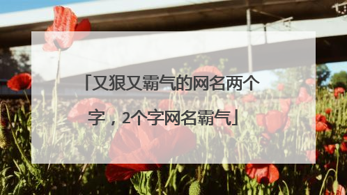 又狠又霸气的网名两个字,2个字网名霸气