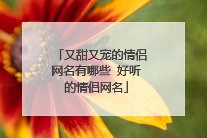 又甜又宠的情侣网名有哪些 好听的情侣网名