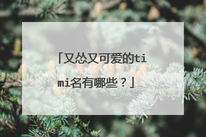 又怂又可爱的timi名有哪些?