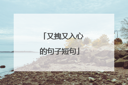 又拽又入心的句子短句