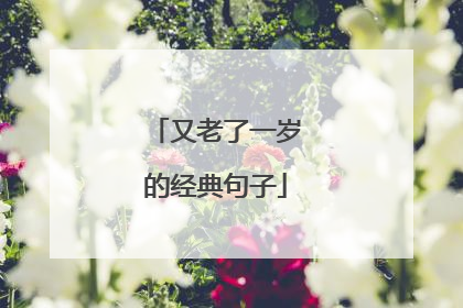 又老了一岁的经典句子