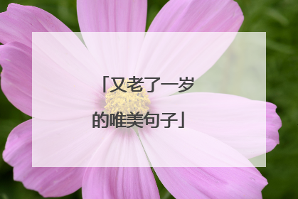 又老了一岁的唯美句子