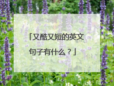 又酷又短的英文句子有什么？