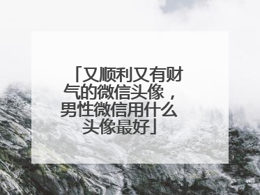 又顺利又有财气的微信头像，男性微信用什么头像最好