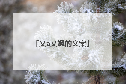 又a又飒的文案