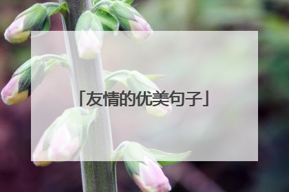 友情的优美句子