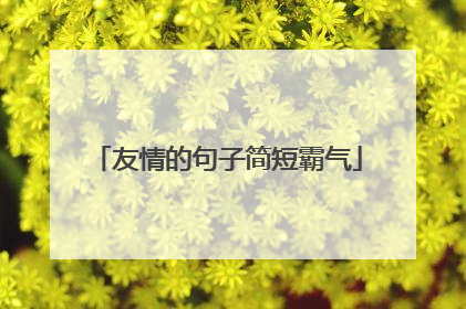 友情的句子简短霸气