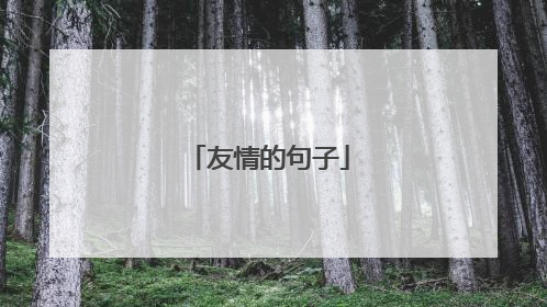 友情的句子