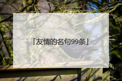 友情的名句99条