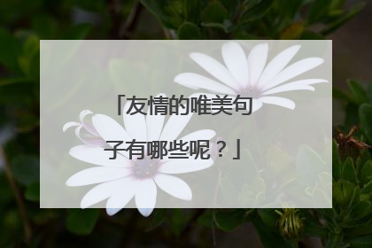 友情的唯美句子有哪些呢?