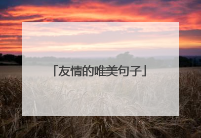 友情的唯美句子