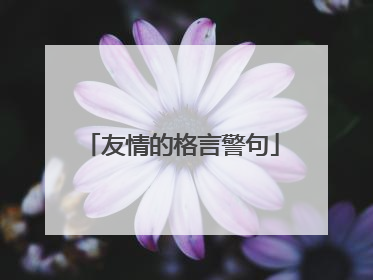 友情的格言警句