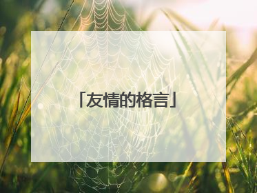 友情的格言
