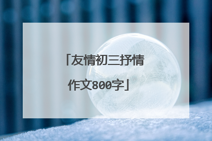 友情初三抒情作文800字