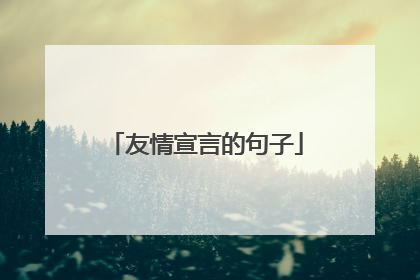 友情宣言的句子