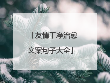 友情干净治愈文案句子大全