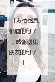 友情感恩相遇的句子,感谢遇见朋友的句子