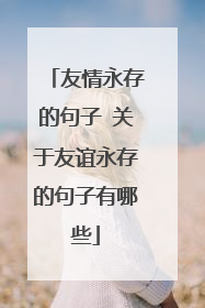 友情永存的句子 关于友谊永存的句子有哪些